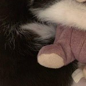 Meet your Posher, Isabel